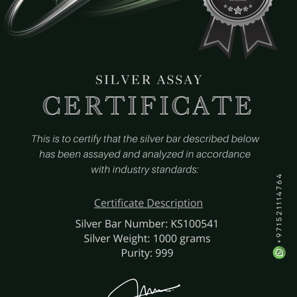 KS100541